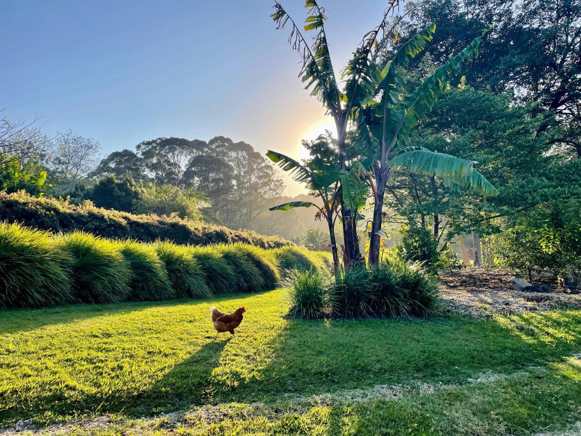 Lily Pad At Byron Bay Villa Екстериор снимка